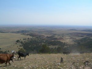 Old West stagecoach trail