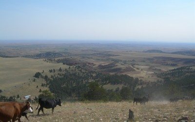 A Love Affair with the Old West